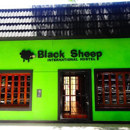 Black Sheep International Hostel Мендоса Екстер'єр фото