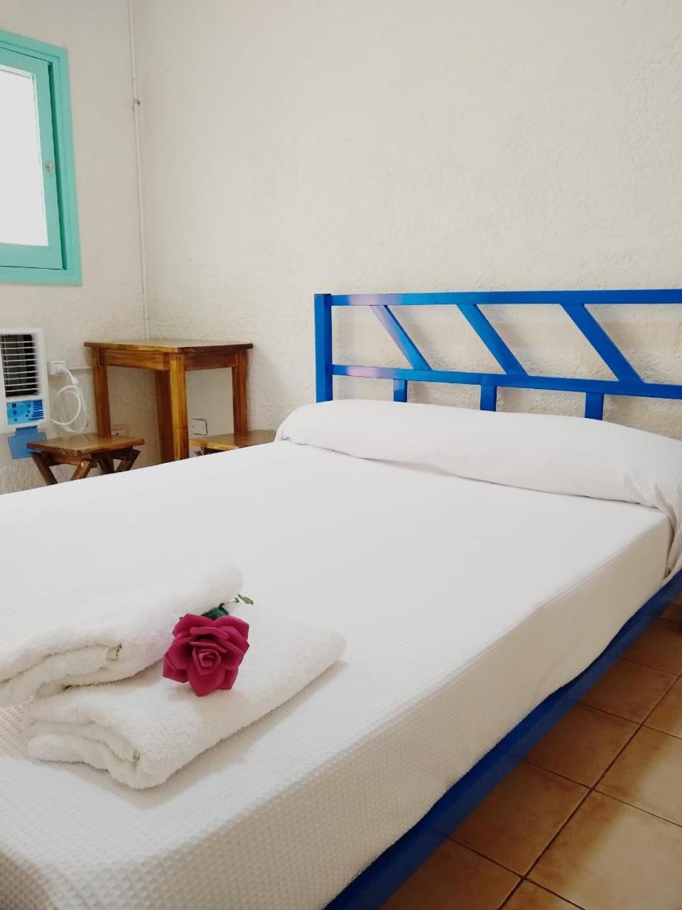 Black Sheep International Hostel Мендоса Екстер'єр фото